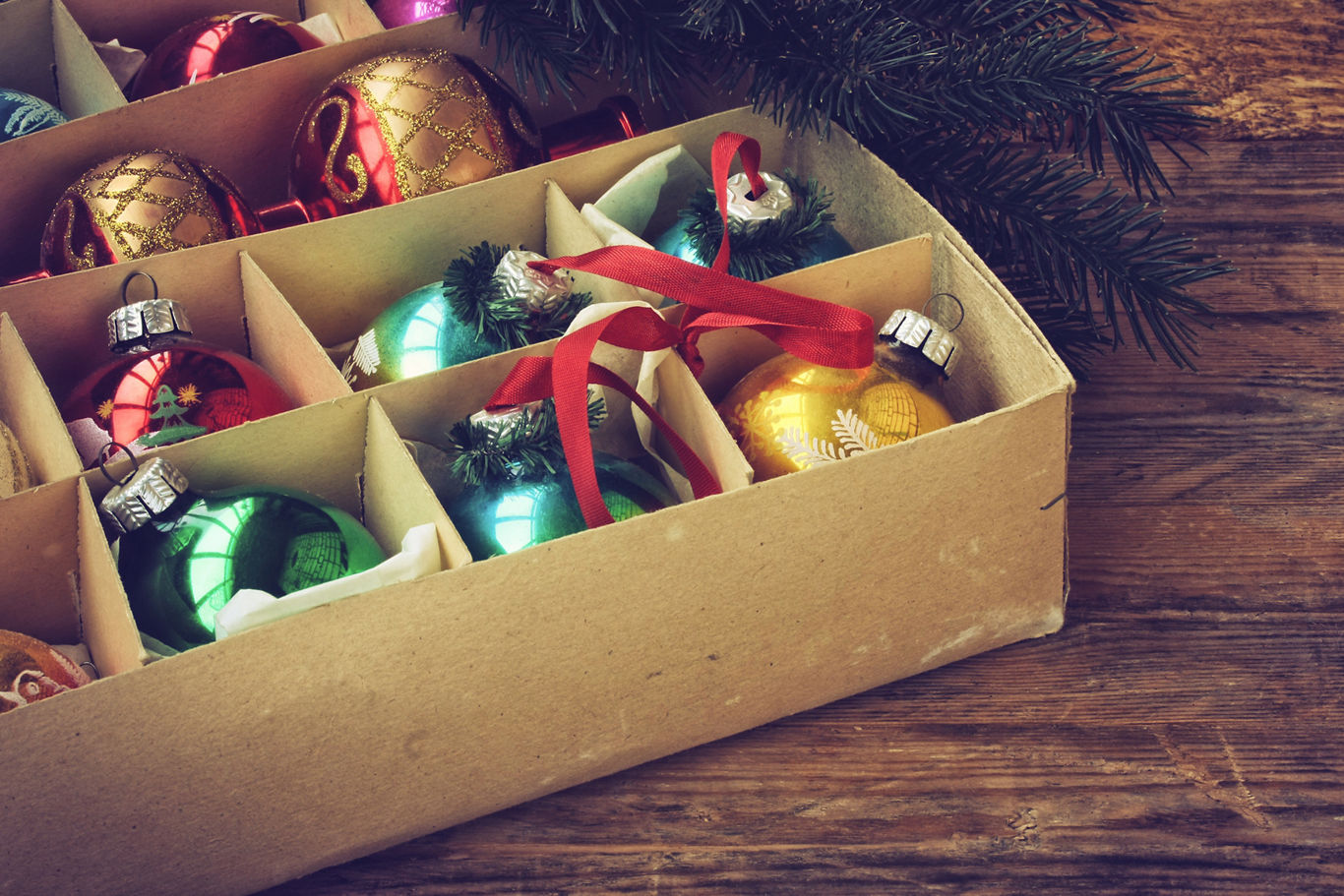 Ornaments Separated in Storage Box | Blog | Greystar